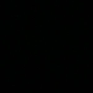 Meet your Posher, Jorden